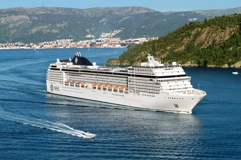 Msc Poesia